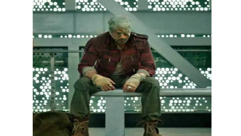 নতুন চমক নিয়ে হাজির হচ্ছেন শাহরুখ!