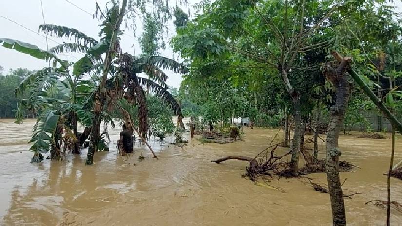 শেরপুরে বন্যায় নিখোঁজ : ১৩ ঘণ্টা পর উদ্ধার দুই মরদেহ
