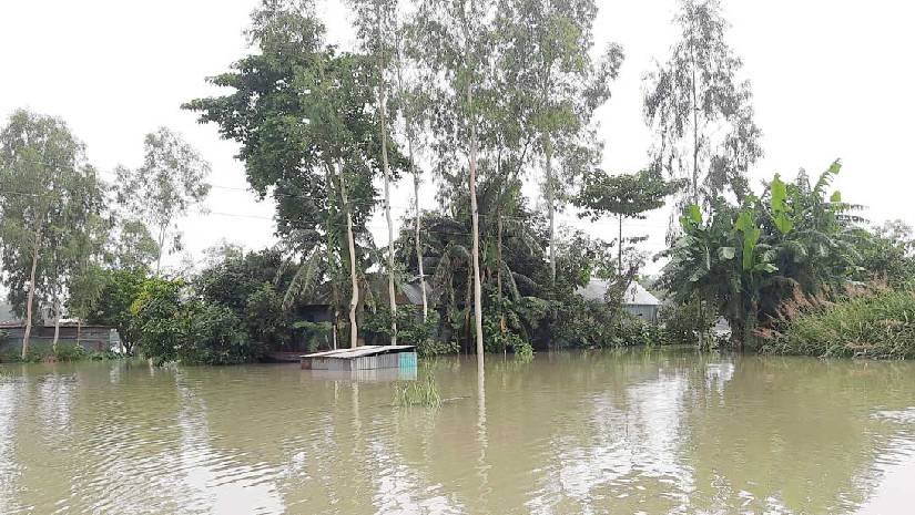 যমুনার পানি