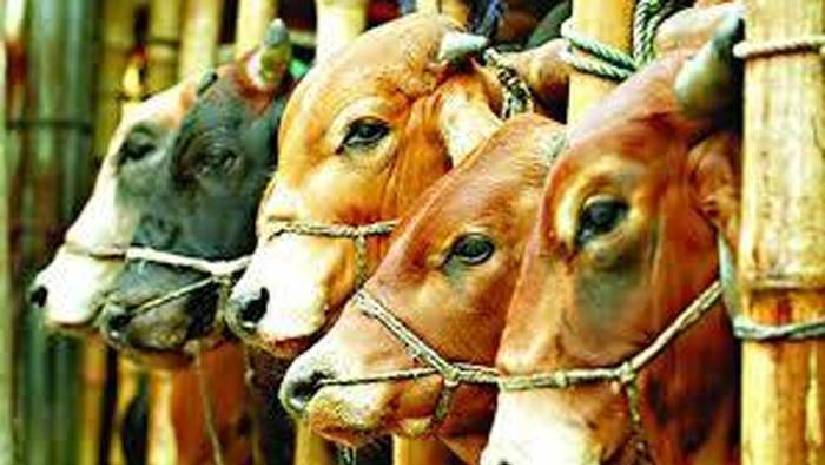 ঈদুল আজহা