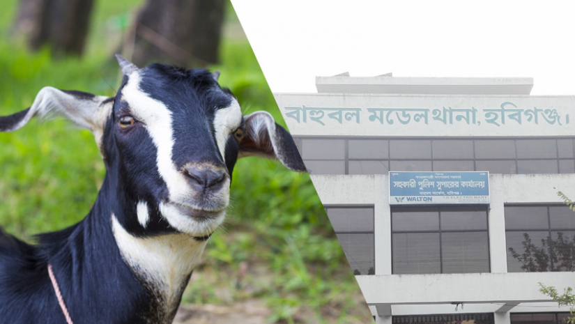থানা