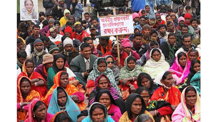 গণভবনের বৈঠকের দিকে চোখ চা শ্রমিকদের