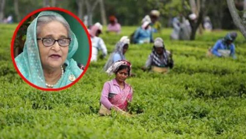 প্রধানমন্ত্রী