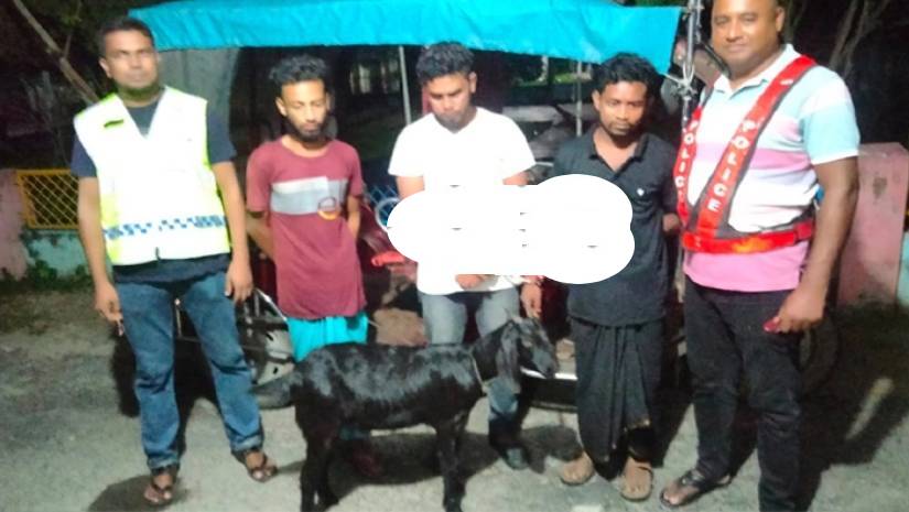 ছাগল চুরি করে পালানোর সময় পুলিশের হাতে ধরা ৩ যুবক