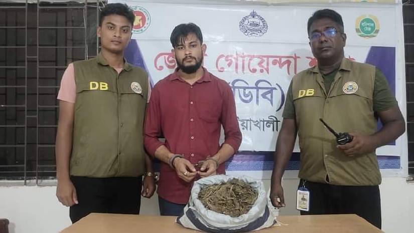 গলাচিপায় ১ কেজি গাঁজাসহ মাদক ব্যবসায়ী আটক