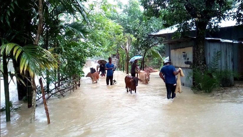 গলাচিপায় ভারী বর্ষণ : নিম্নাঞ্চল প্লাবিত