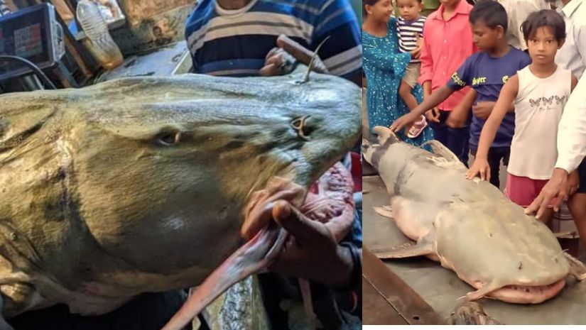 সারাদেশ