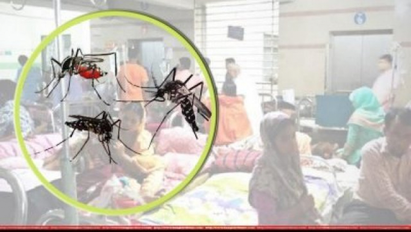 ডেঙ্গুতে ২ জনের মৃত্যু