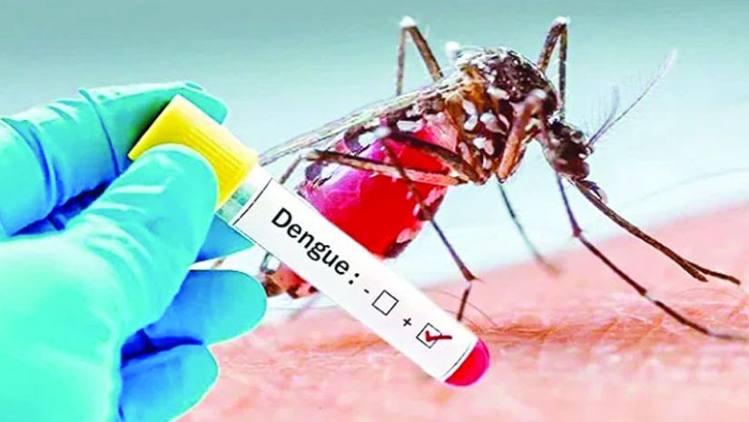 ডেঙ্গু রোগীর সংখ্যা ছাড়ালো ১৬ হাজার