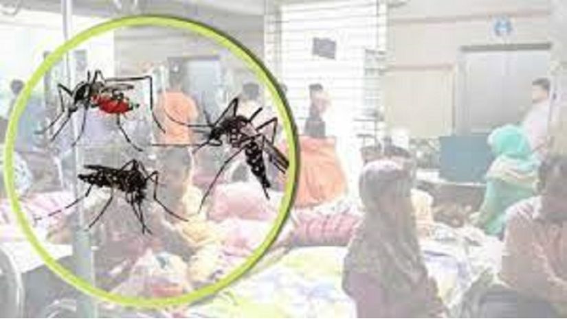 ২৪ ঘণ্টায় ডেঙ্গু আক্রান্ত হয়ে হাসপাতালে ভর্তি ৩১০