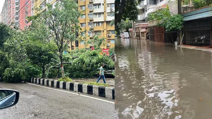 ঢাকার পরিষ্কার আকাশে ফের মেঘের ঘনঘটা, সড়কে পানি, পড়ে আছে গাছ