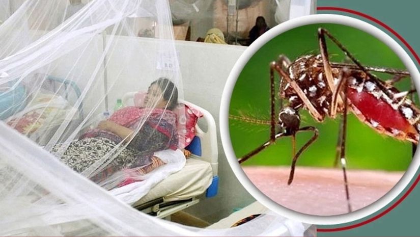 ডেঙ্গুতে আরও ১ জনের মৃত্যু, হাসপাতালে ভর্তি ২৬৬