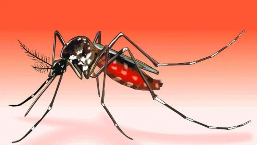 ডেঙ্গুতে মৃত্যু বেড়ে ২৩০