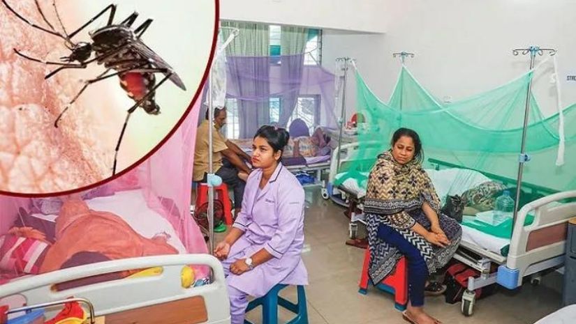 ডেঙ্গুতে মৃত্যু আরও ৩ জনের