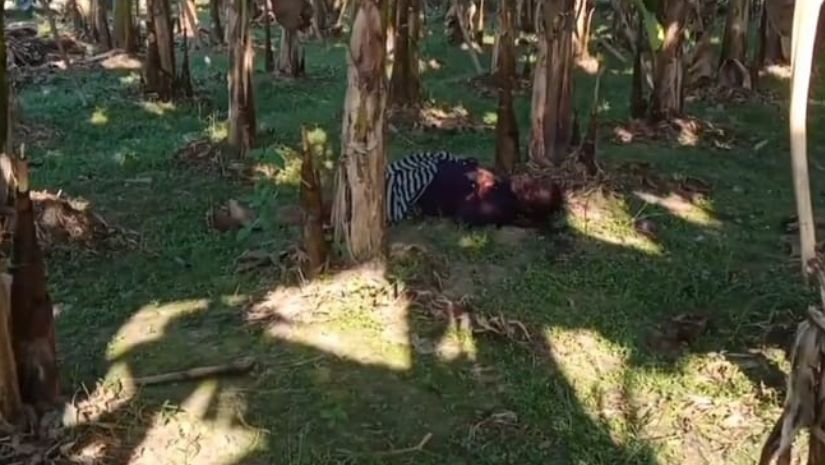 সারাদেশ