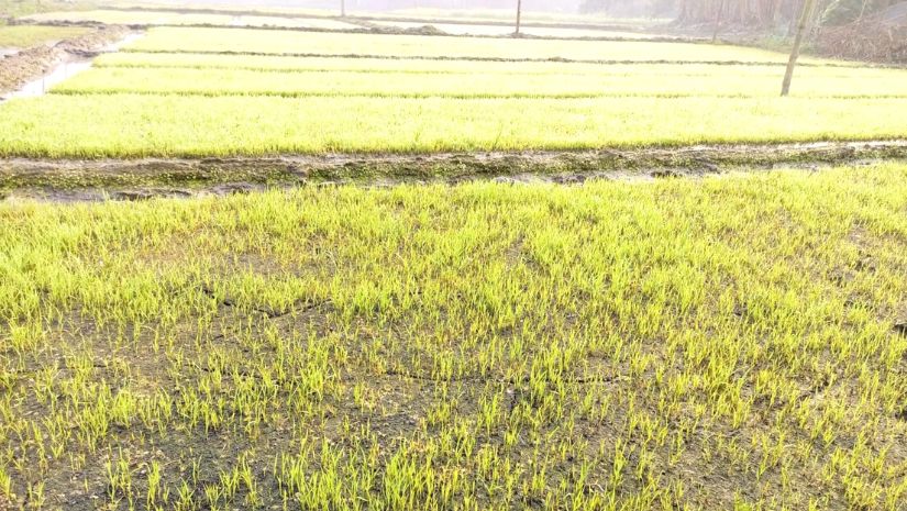 ঈশ্বরদী