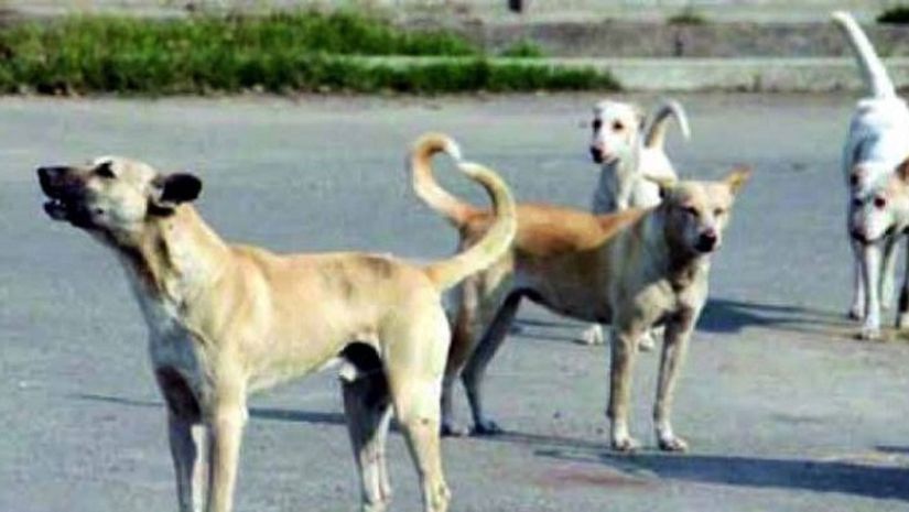 ঈশ্বরদী