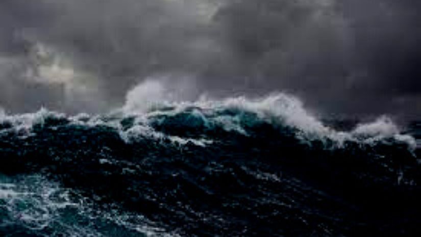 নিউজিল্যান্ড 