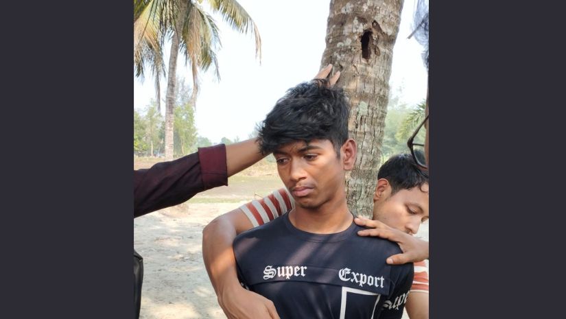 নোবিপ্রবি
