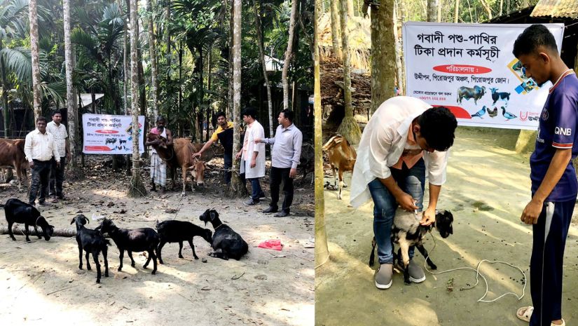 পিরোজপুর