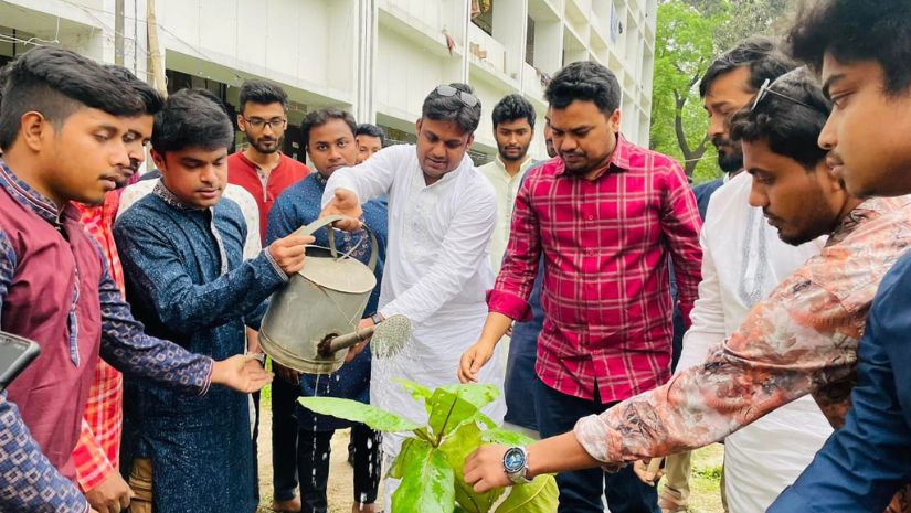 জাবি