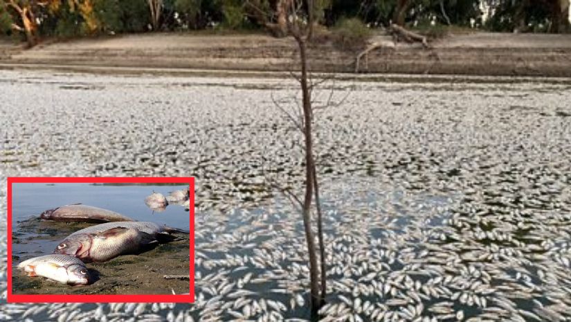 আন্তর্জাতিক