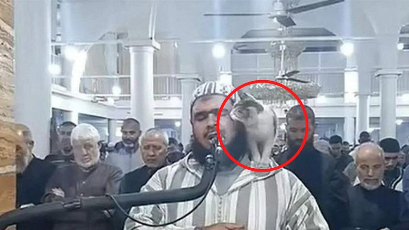 ইমাম