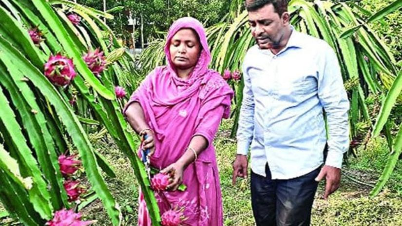 কুমিল্লা