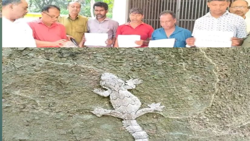 ফটিকছড়ি