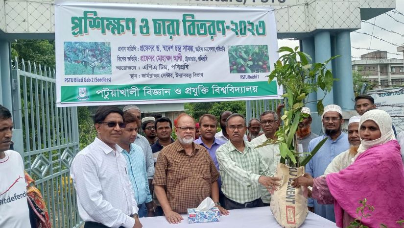ক্যাম্পাস