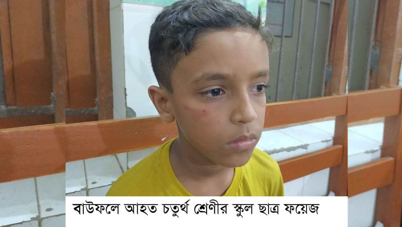 বাউফলে