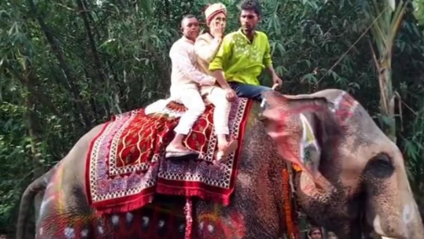 বগুড়া
