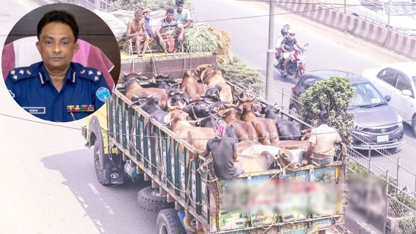 কোরবানি