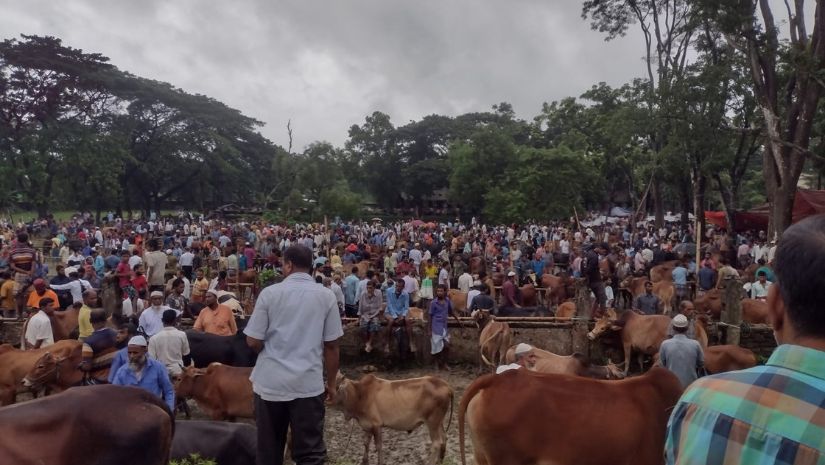 বরগুনা