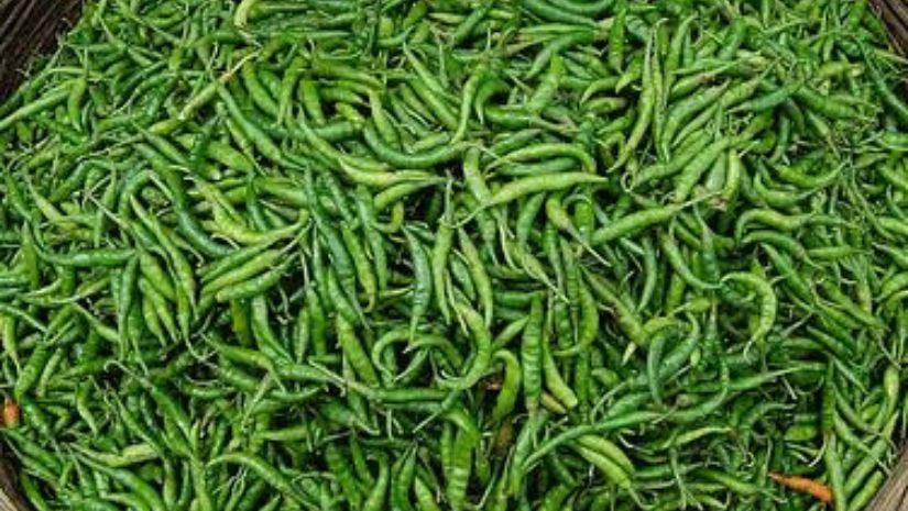 মরিচ