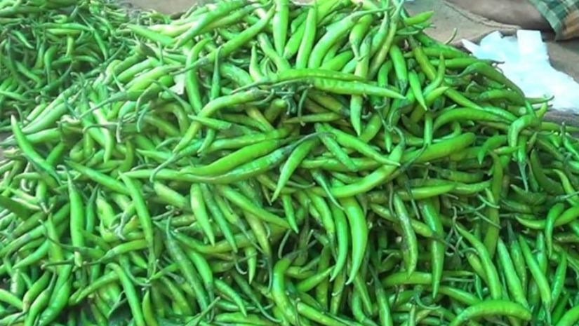 কাঁচামরিচ