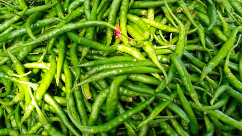 মরিচ