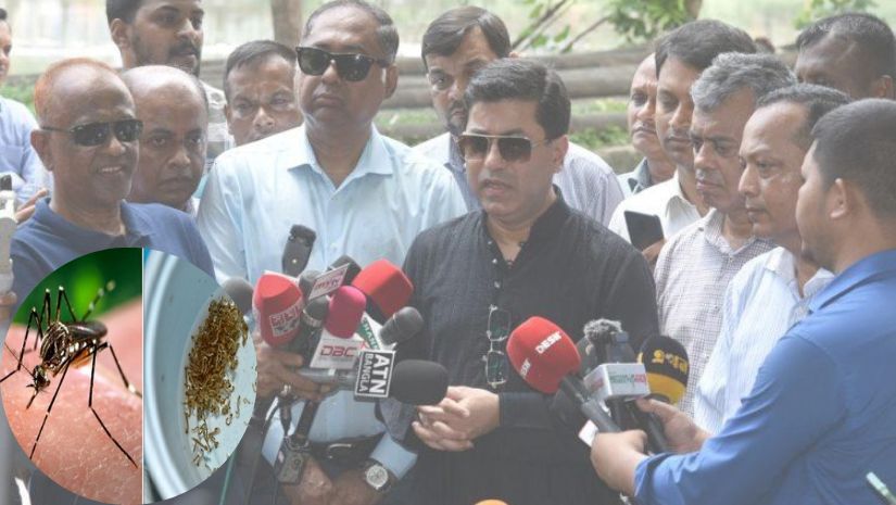 তাপস