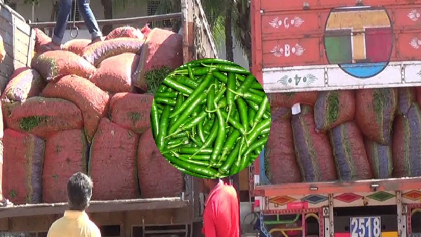 কাঁচা মরিচ