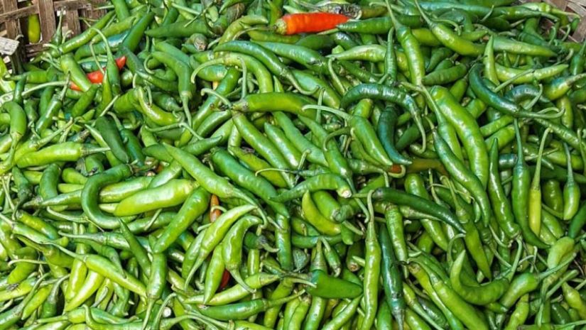 কাঁচা মরিচ