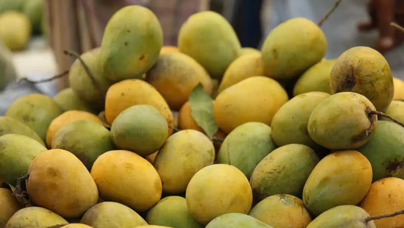 আম