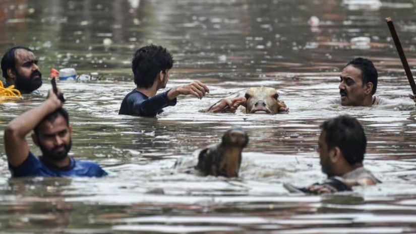 ভারত