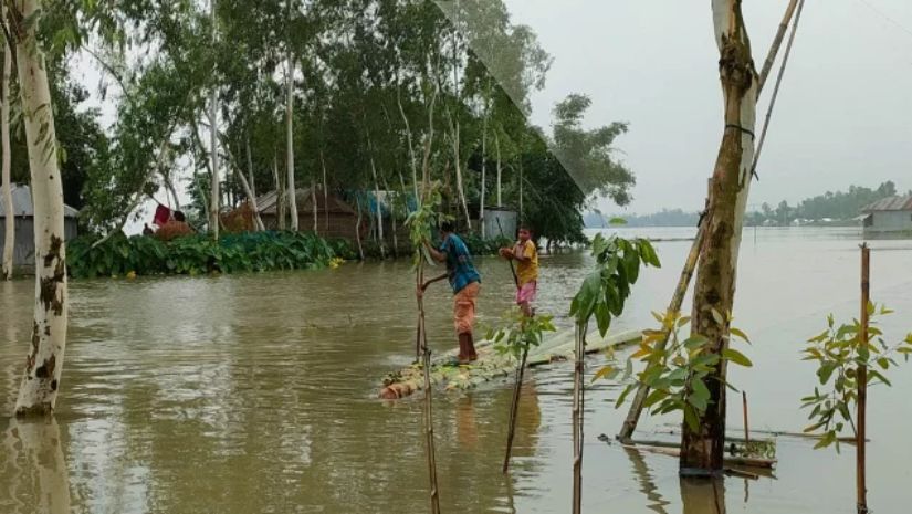 সারাদেশ