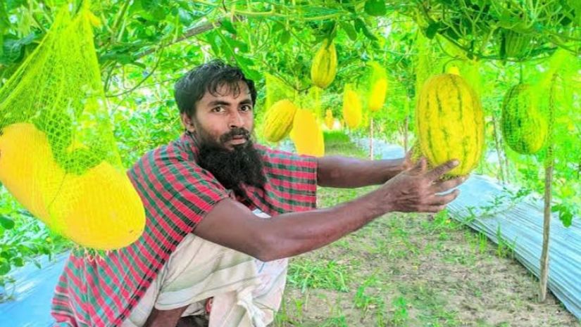 বগুড়া