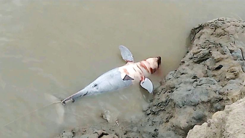 বরগুনা