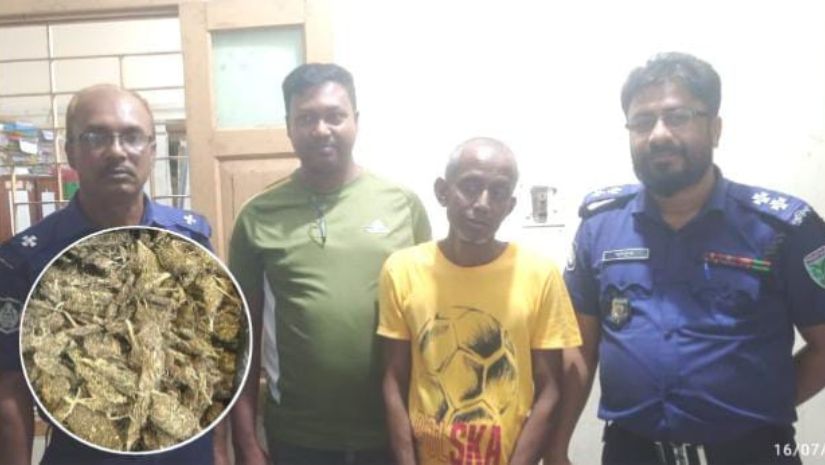 গোলাপগঞ্জে