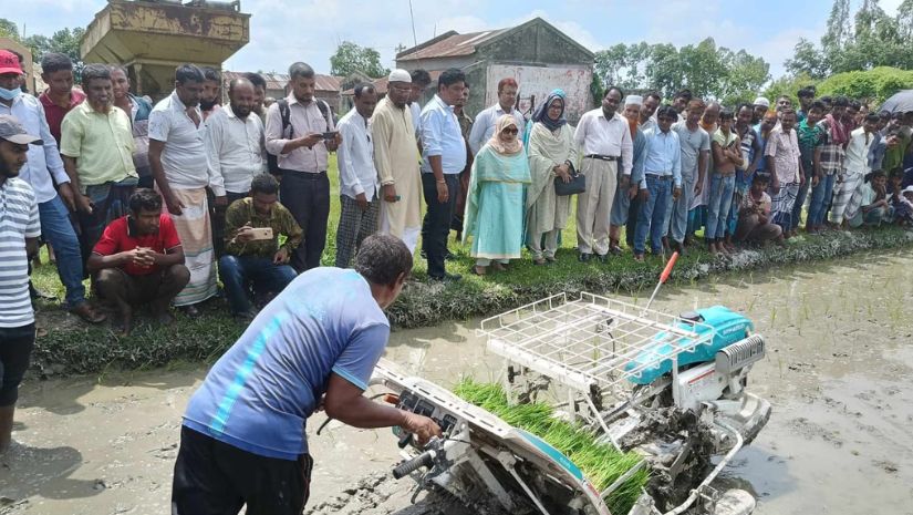 কালাই