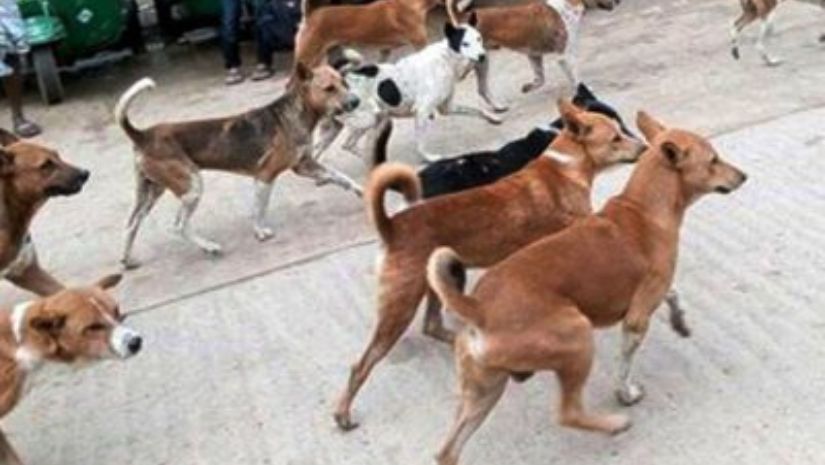 সারাদেশ
