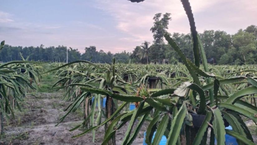 সারাদেশ