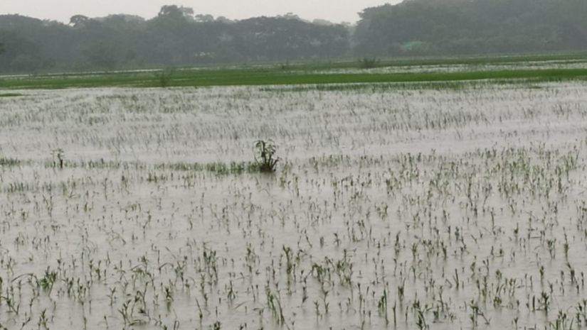 দুমকি